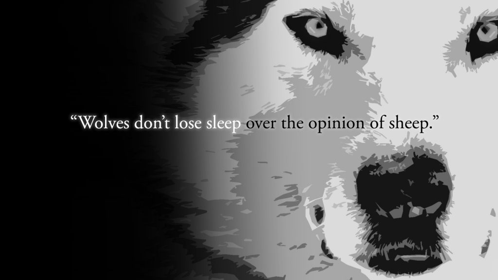 i lupi non perdono il sonno per l'opinione di una pecora